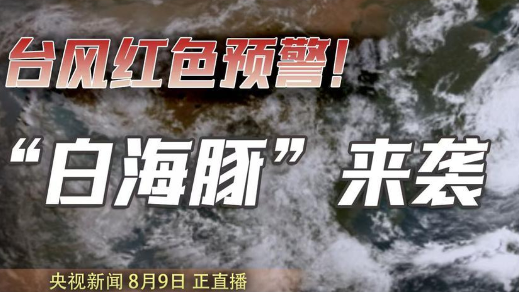 台风白海豚到哪里了热搜配图
