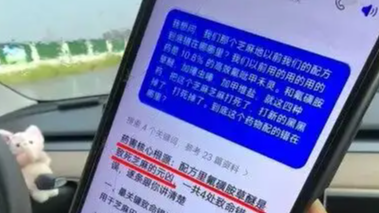 农民误信AI致百亩芝麻全毁热搜配图